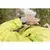 Ručni Outdoor GPS sat Garmin fenix 3 HR Silver