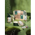 Nutty & Nourishing Shea Big Gift XM23