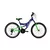CAPRIOLO MTB CTX240 24/18HT plavo-zeleno