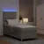 Vidaxl LED Box Spring Postelja z vzglavjem Taupe 80 x 200 cm blago
