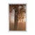Plakat megleni jesenski gozd - 20x30 black