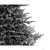 Novogodišnja jelka Grandis fir snowy 120cm