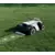 Segway Navimow X420 robotska kosilnica