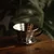 Kalita Wave 155 jekleni dripper