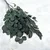 Stabiliziran evkaliptus - Populus - Zelen