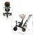 Kinderkraft Tricikl Easy Twist 2U1, Bež