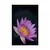 Plakat travniška cvetlica - 30x45 black