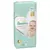 Pampers Premium VP