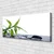 tulup.si Slika na platnu Leaf narava rastlinski stones 120x60 cm