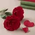 Mini ustvarjalni set | Vrtnice iz krep papirja