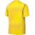 Nike Dres Dri-FIT Gardien VI Goalkeeper
