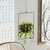 Aberto Design Dekorativna saksija Parapet, 25x40x17 cm, Crna