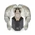 Philipp Plein PWTAA0723 Spectre Ladies Watch 38mm 5ATM