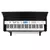 SCHUBERT električni piano CARNEGY-61 (61 tipk)