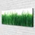 tulup.si Slika na platnu Grass nature rastlin 120x60 cm