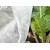 shumee Agrotekstil Spring bel 17g 1,1m x 10m