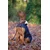 Kentucky Dogwear Hundemantel navy - SM