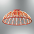 OPVIQ 3229 2 06 Red luster