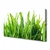 tulup.si Slika na platnu Travnate bilke 120x60 cm