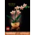 LEGO Botanical Mini orhideja 10343