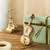 Cello