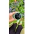 Drop Termos boca Led, 750ml, Tirkizna