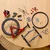 LEGO Icons Drumski bicikl 11380, Uzrast 18+
