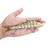 shumee Vobler PIKE ZANDER Jointed Sinking F146 SILVER