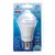 LED sijalica sa senzorom pokreta i sumraka A60 E27/6W/230V 6500K - Aigostar