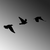 WALLXPERT Zidna dekoracija Birds 477