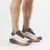 Salomon AERO BLAZE 4 GRVL GTX, muške patike za trčanje, bež L45403200