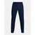 Under Armour Hlače UA CGI Taper Pant-NVY