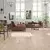 E-Cement Beige 60×120