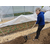 eHorti Ruske vile Premium (brez ročaja)