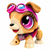 Build a Bot Paw Patrol Skye