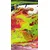 Tapeta akrilna abstrakcija - 147x270