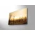Zidna slika sa LED osvetljenjem 4570DHDACT-073, 45x70 cm
