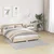 Protuklizni Shaggy Tepih Siva 160 x 160 cm PP
