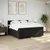 Vidaxl Box spring postelja z vzmetnico črn 200x200 cm blago