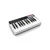 IK Multimedia iRig Keys I/O 25 / Midi Usb
