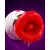 SuperLove 3in1 Sucking, Licking & Rotating Tongue Vibrator