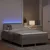 Vidaxl LED Box Spring Postelja z LED trakami Taupe 120 x 200 cm blago
