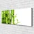 tulup.si Slika na platnu Bamboo rastlin 120x60 cm