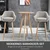 Homestar Set barskih stolov 2 kosa 55x48x100 cm bež