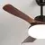 Brilagi - LED prigušiva plafonski ventilator LED/34W/230V 106 cm crna/braon +daljinski upravljač