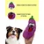 Paws & Whiskers Igračka za pse Havhav 1026, Ljubičasti