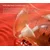 HeorShe Delfin Dental Care Šolja 180Ml