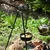 Petromax Dutch Oven lonac od livenog gvoždja s ravnim dnom FT6 - T