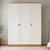 Hanah Home ormar Loren 1600-233, 135,8 cm, beli / orah