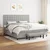 shumee Box spring postelja z vzmetnico svetlo siva 200x200 cm blago